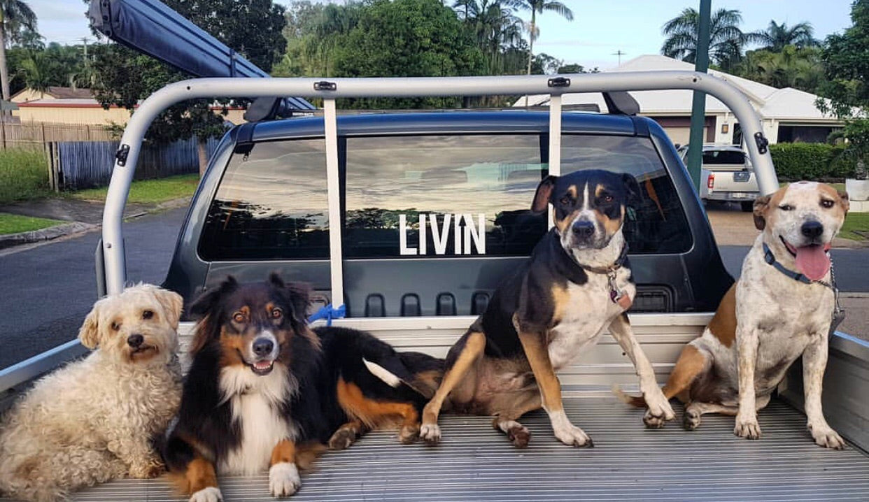 LIVIN Car Sticker