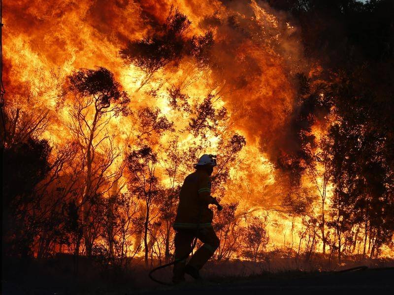 The Power of Community in a natural disaster